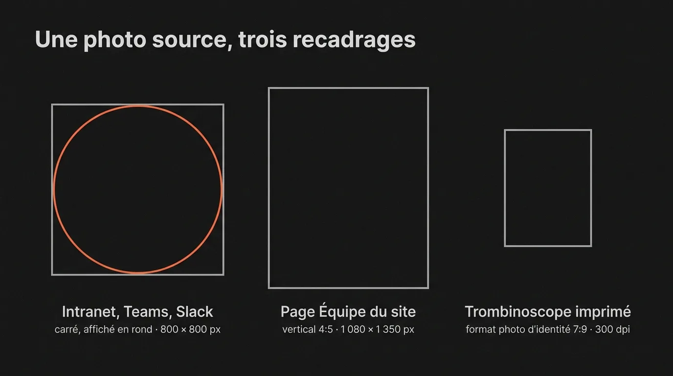 Trois gabarits de recadrage pour une photo de trombinoscope : carré pour l’intranet, vertical 4:5 pour la page Équipe, format photo d’identité pour l’impression